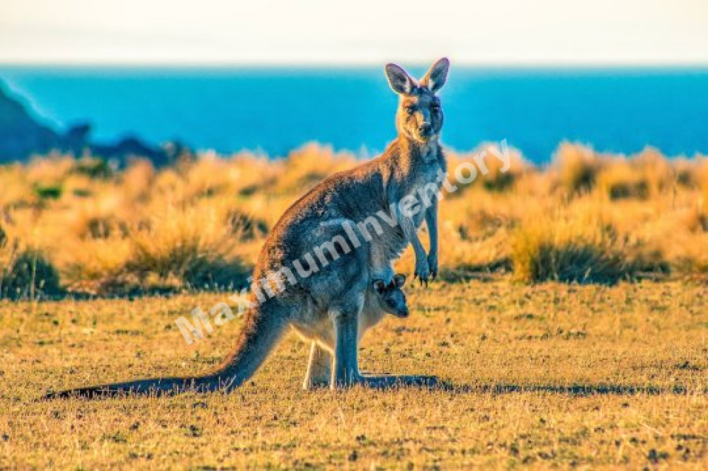 50x50 černé bistro s bílou deskou